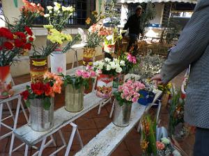 776  la place hoche achat de fleurs pour le cimetiere TAMASHOUET  ORAN